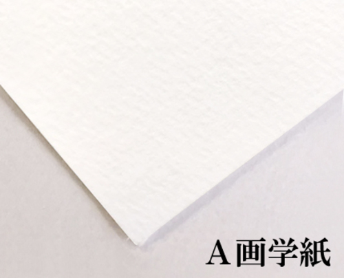 サンフラワーＡ画学紙