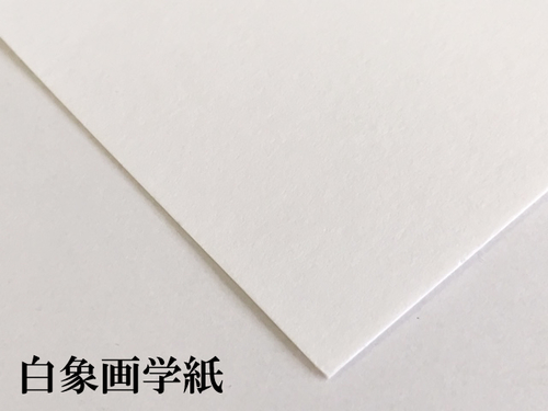 白象画学紙