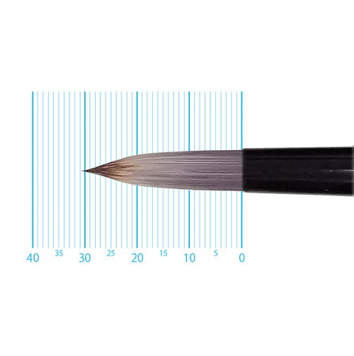 キャムロンシグロ 760 (ラウンド) 12号