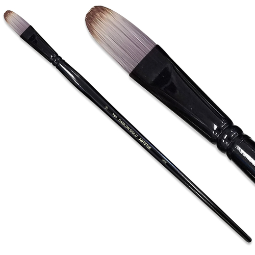 キャムロンシグロ 755 (フィルバート)