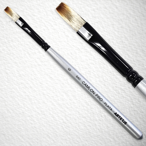 キャムロンプロ プラタ 640 短軸(フラット)