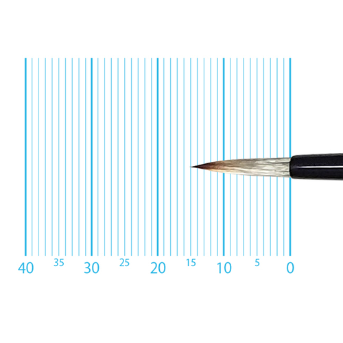 キャムロンプロ 620 短軸(ラウンド) 2号