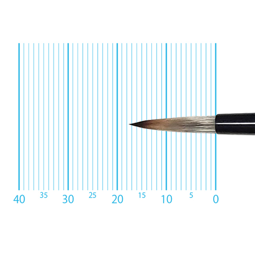 キャムロンプロ 620 短軸(ラウンド) 4号
