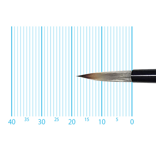 キャムロンプロ 620 短軸(ラウンド) 6号