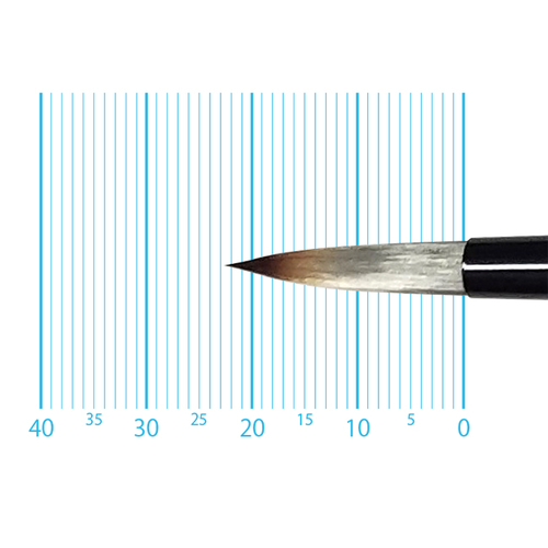 キャムロンプロ 620 短軸(ラウンド) 8号