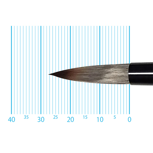 キャムロンプロ 620 短軸(ラウンド) 10号