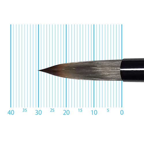 キャムロンプロ 620 短軸(ラウンド) 12号