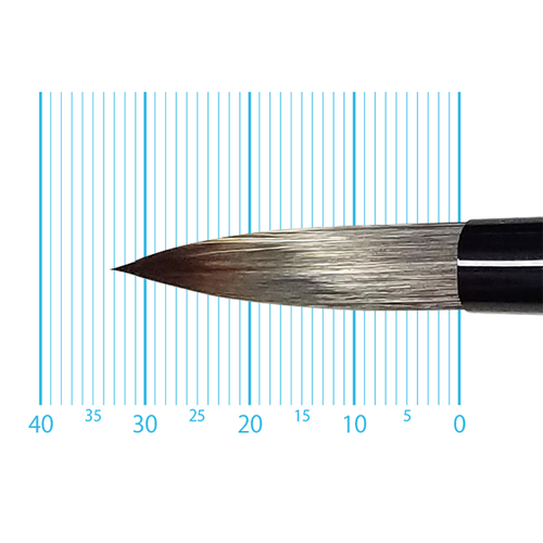 キャムロンプロ 620 短軸(ラウンド) 14号