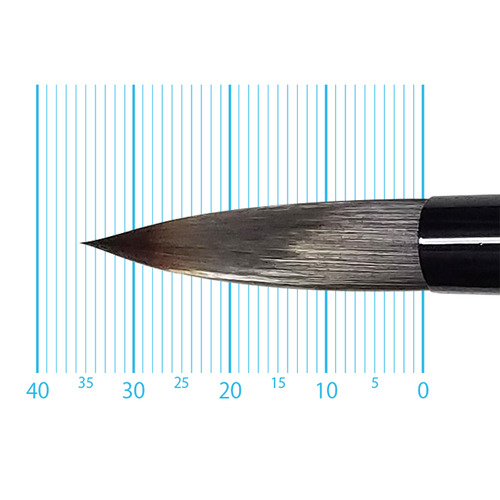 キャムロンプロ 620 短軸(ラウンド) 16号