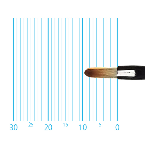 キャムロンプロ 655 短軸(フィルバート) 0号