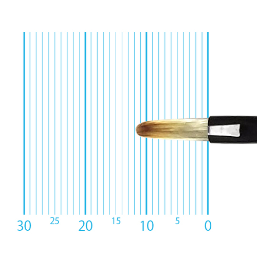 キャムロンプロ 655 短軸(フィルバート) 2号