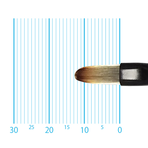 キャムロンプロ 655 短軸(フィルバート) 4号