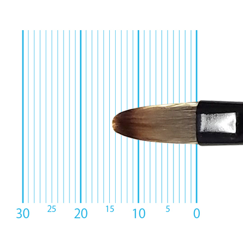 キャムロンプロ 655 短軸(フィルバート) 6号