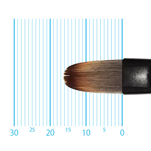 キャムロンプロ 655 短軸(フィルバート) 8号