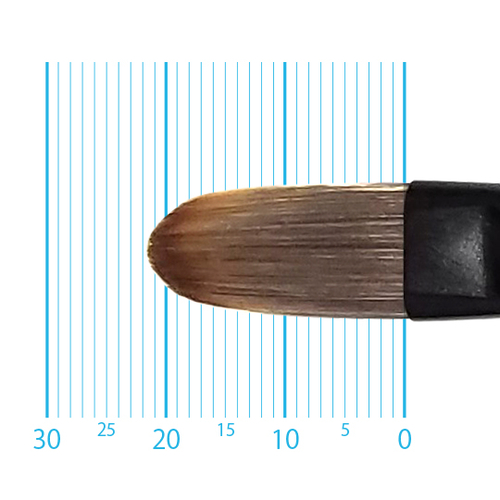 キャムロンプロ 655 短軸(フィルバート) 10号