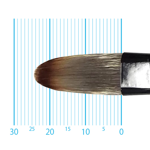 キャムロンプロ 655 短軸(フィルバート) 12号
