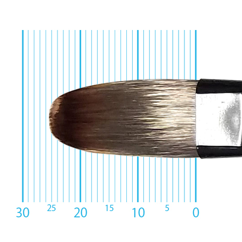 キャムロンプロ 655 短軸(フィルバート) 14号