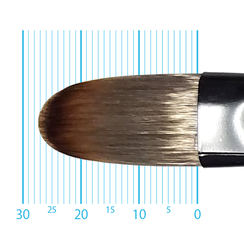 キャムロンプロ 655 短軸(フィルバート) 16号