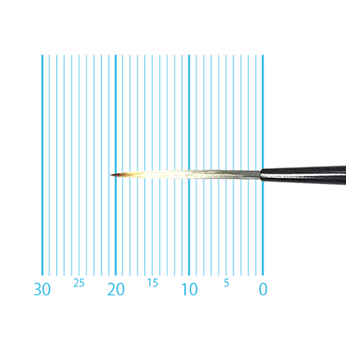 キャムロンプロ 670 短軸(スクリプト) 0号