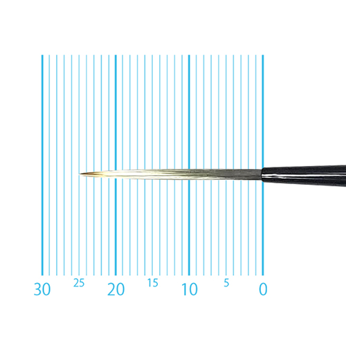 キャムロンプロ 670 短軸(スクリプト) 2号