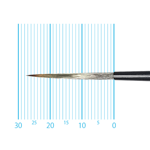 キャムロンプロ 670 短軸(スクリプト) 4号