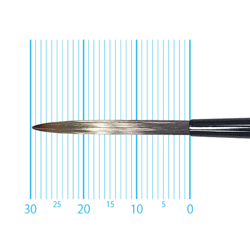 キャムロンプロ 670 短軸(スクリプト) 6号