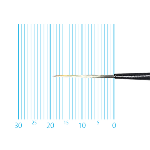 キャムロンプロ 670 短軸(スクリプト) 2/0号