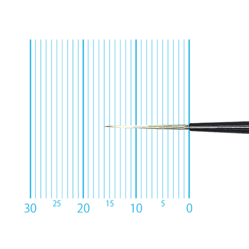 キャムロンプロ 670 短軸(スクリプト) 5/0号