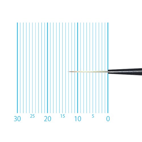 キャムロンプロ 670 短軸(スクリプト) 10/0号