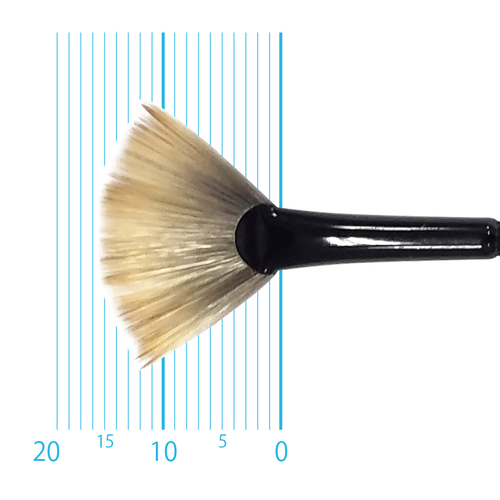 キャムロンプロ 618 短軸(ファン) 2号