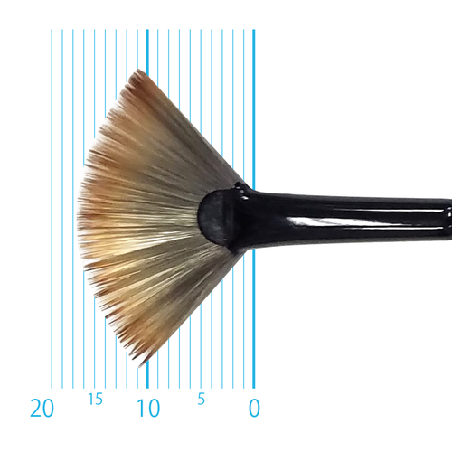 キャムロンプロ 618 短軸(ファン) 6号