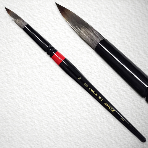 キャムロンプロ 620 短軸(ラウンド)