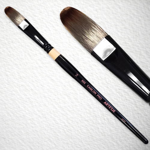 キャムロンプロ 655 短軸(フィルバート)