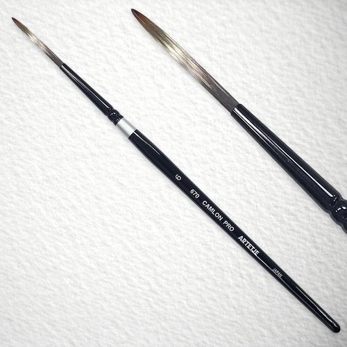 キャムロンプロ 670 短軸(スクリプト)