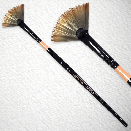 キャムロンプロ 618 短軸(ファン)